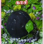 Theertha Yathirai - Kasi தீர்த்த யாத்ரை  காசி