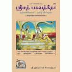 ஸ்ரீமத் பகவத்கீதா, தத்வ விவேசனி